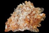 Orange Creedite Crystal Cluster - Durango, Mexico #99192-1